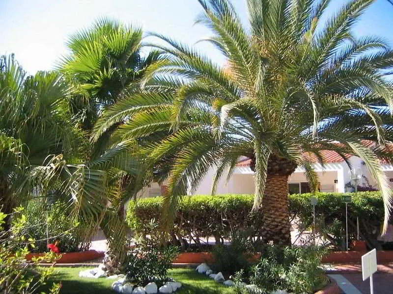 Parque Paraiso I Playa del Ingles  Apartment